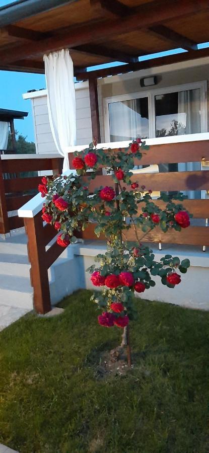 Mobile Homes Kamp Maslina,