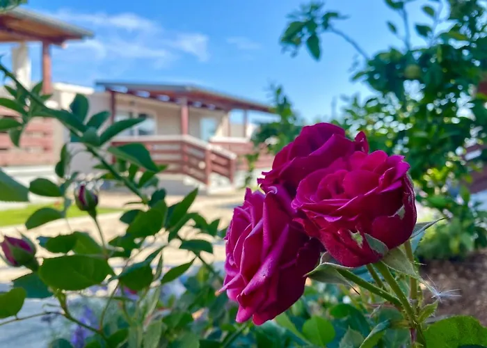 Mobile Homes Kamp Maslina, Biograd Na Moru
